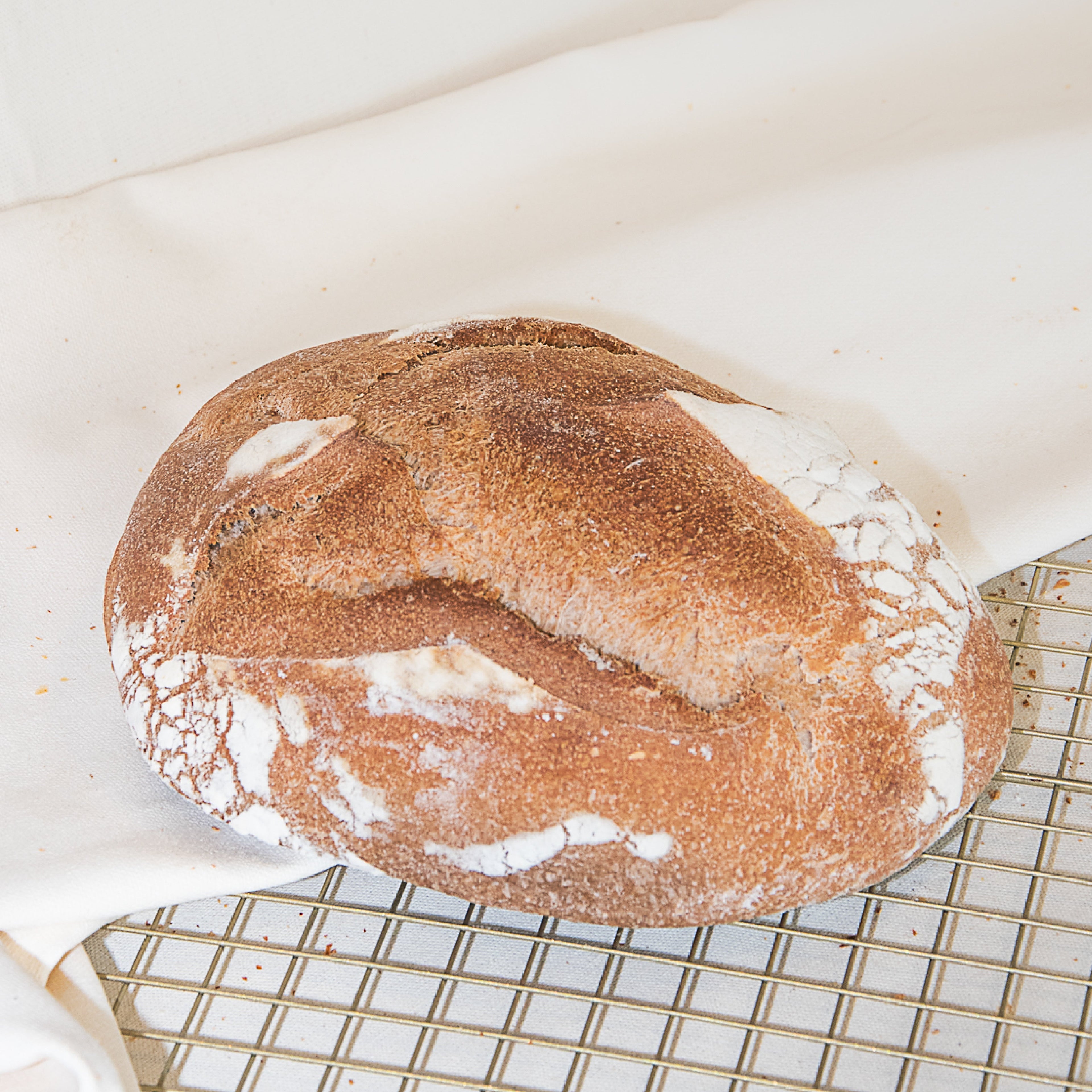 Rye Katz Bread
