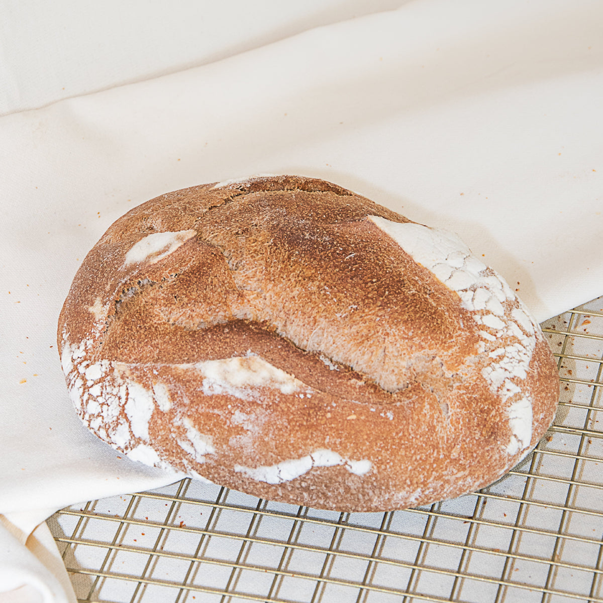 Rye Katz Bread